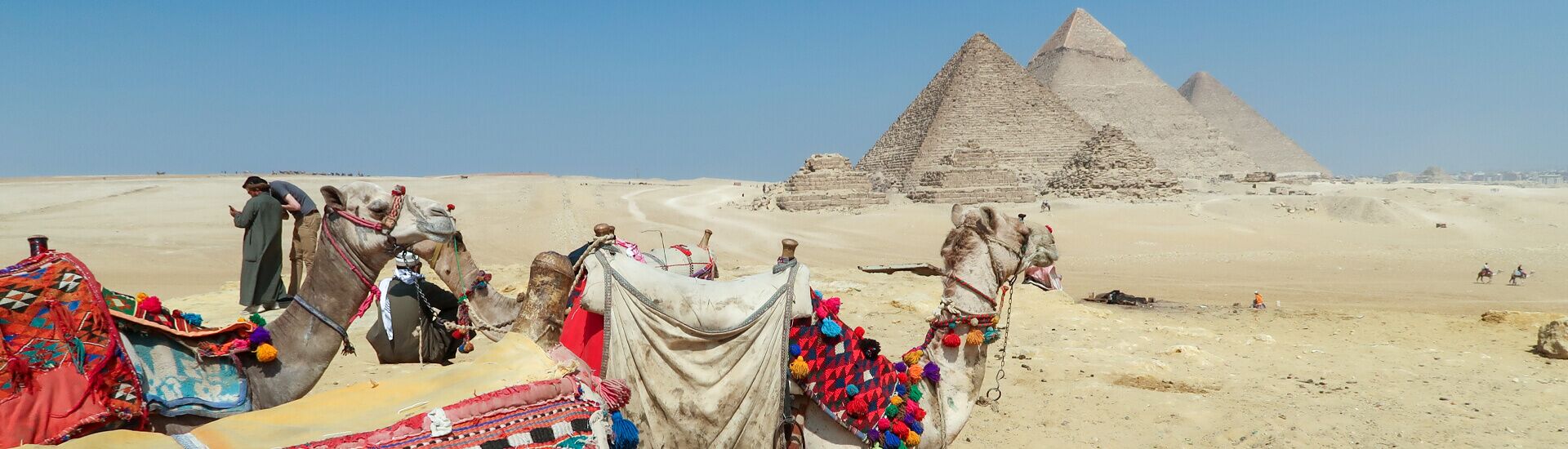 Camel Or Horse Riding At The Giza Pyramids Area