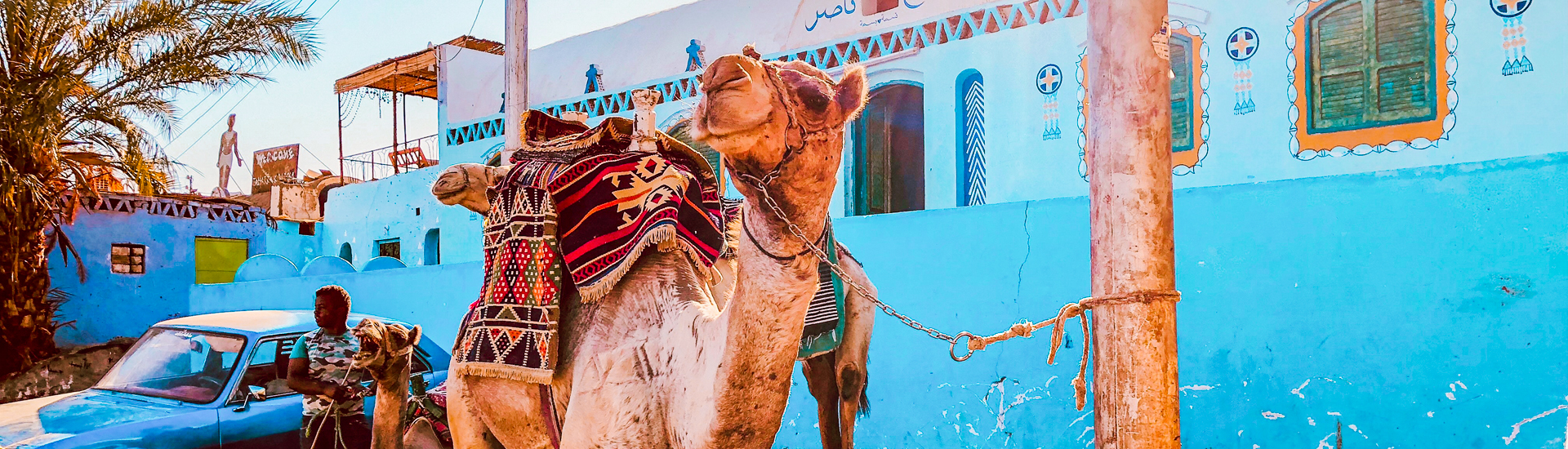Privet Aswan City Tour by Horse Cart