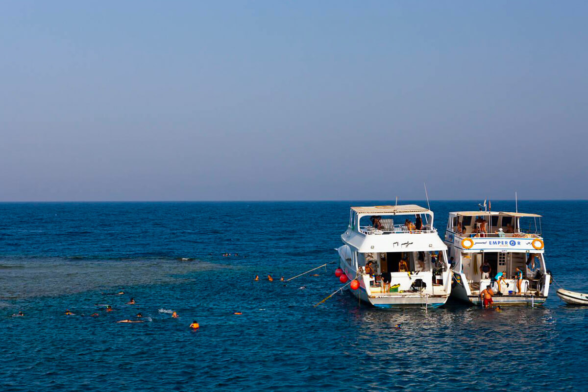 Diving in Egypt