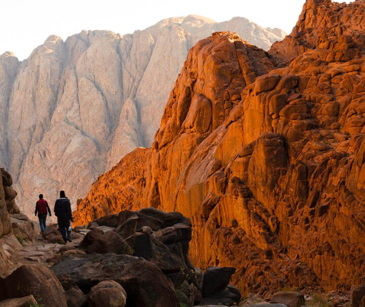 things to do in sinai egypt